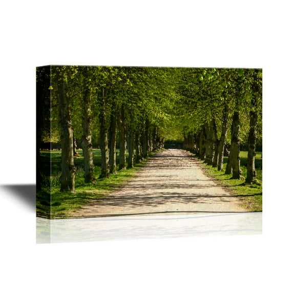wall26 - Forest Canvas Wall Art - Green Path in a Forest - Gallery Wrap Modern Home Art | Ready to Hang - 16x24 inches