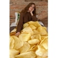 thumbnail image 6 of Fried Potato Chips Blanket for Adult and Kids, Funny Realistic Food Throw Blankets,Novelty Soft Flannel Food Blanket,Perfect for Camping, Home Bed Sleeping 60"x50" Medium for Teen, 6 of 6