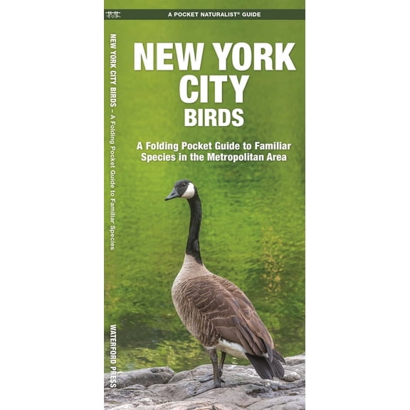 New York City Birds : A Folding Pocket Guide to Familiar Species in the Metropolitan Area - Paperback