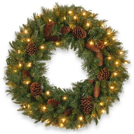 National Tree 24
