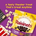 thumbnail image 4 of Raisinets, Dark Chocolate Covered California Raisins, Resealable Bag, 8.0 oz, 4 of 9