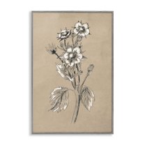 Stupell Industries Apple Blossom Drawing Botanical & Floral Drawing Gray Framed Art Print Wall Art, 12 x 18