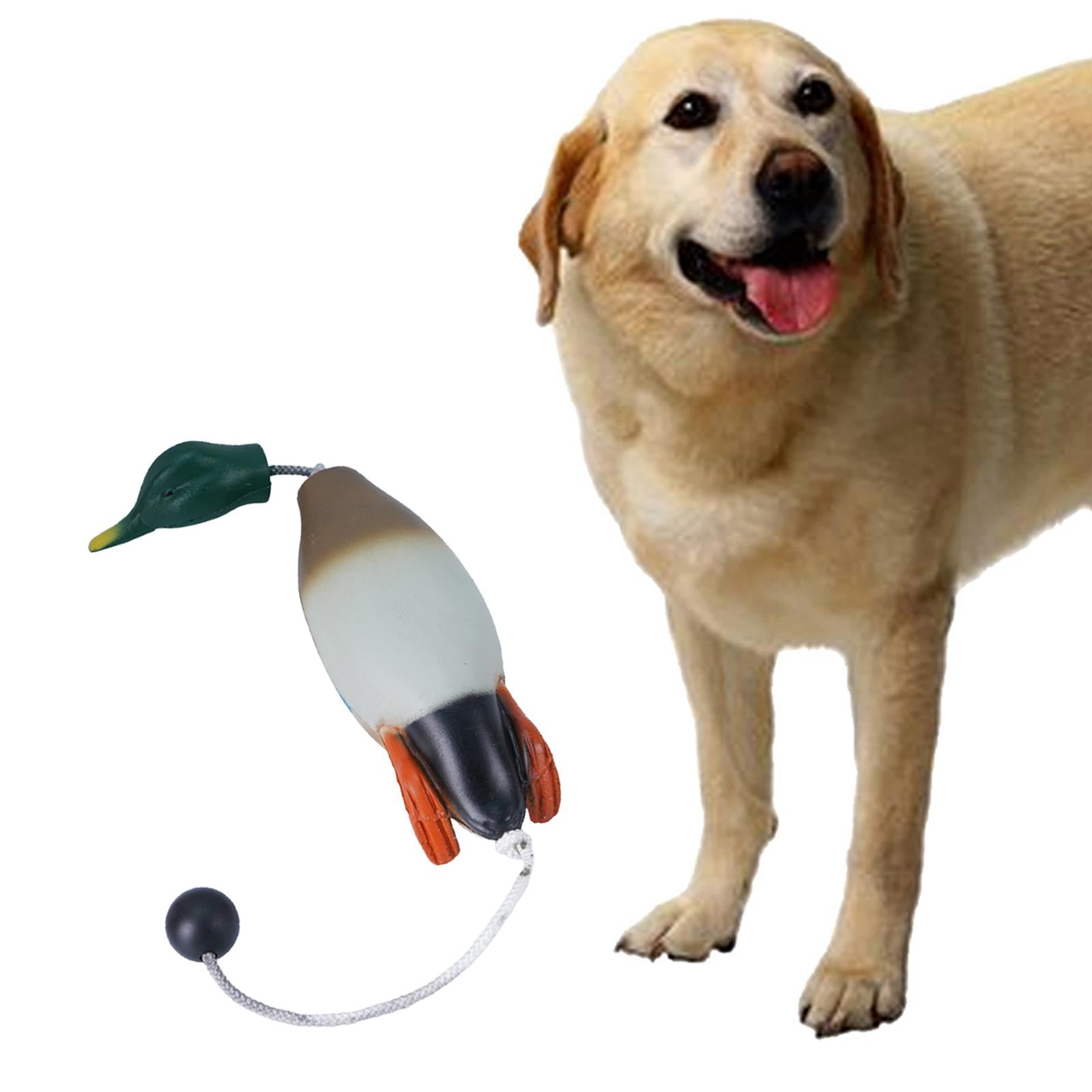 Bvdfgk Dog Chew Toy Mallard Duck Relaxing Durable Biting Toys Molar Biting Toy Exercise
