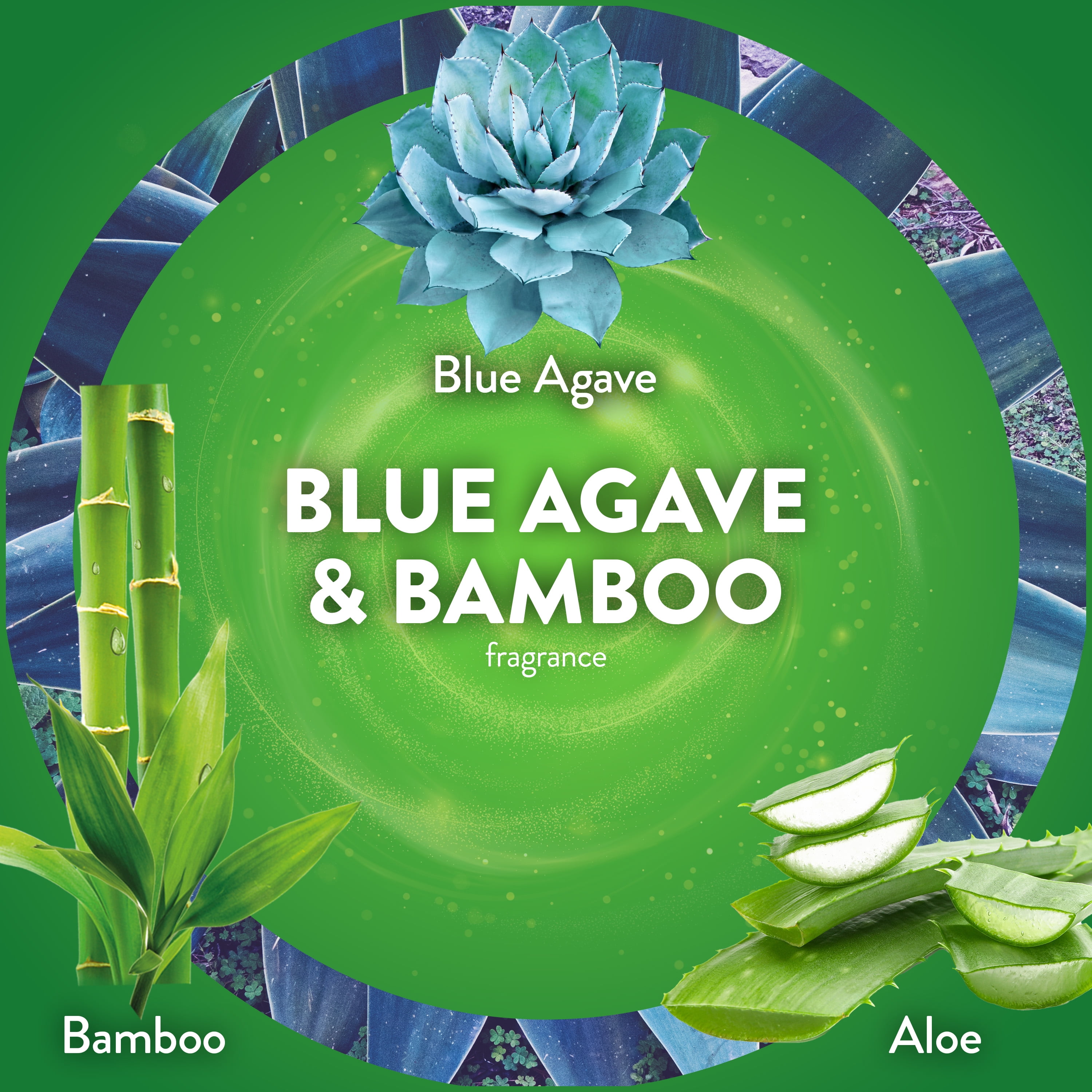 (5 pack) Air Wick Scented Oil Warmer Refills Blue Agave and Bamboo 4 Count