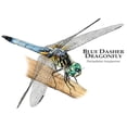 thumbnail image 3 of CafePress - Blue Dasher Dragonfly Mug - 11 oz Ceramic Mug - Novelty Coffee Tea Cup, 3 of 6