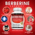 thumbnail image 4 of Toplux Berberine Supplement 1800mg Pure Berberine Hcl Supports Healthy Levels 90 Capsules, 4 of 7