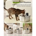 thumbnail image 2 of Fuente de agua Cat APD APETDOLA de acero inoxidable 4L, 2 of 9