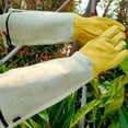 thumbnail image 4 of Guantes largos de jardinería para mujer a prueba de espinas, guante de jardín de cuero de vaca para poda de rosas para cactus, rosas y moras-L, 4 of 5
