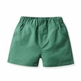 thumbnail image 6 of Zwiiyzr Toddler Baby Boy Floral Short Sleeve Button Down Shirt & Casual Shorts with Bow Tie Set Summer Outfits 6M-6 Years Clothes Green, 6 of 6