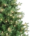 thumbnail image 2 of Kurt Adler 5-Foot Pre-Lit Clear Incandescent Jackson Pine Tree, 2 of 4