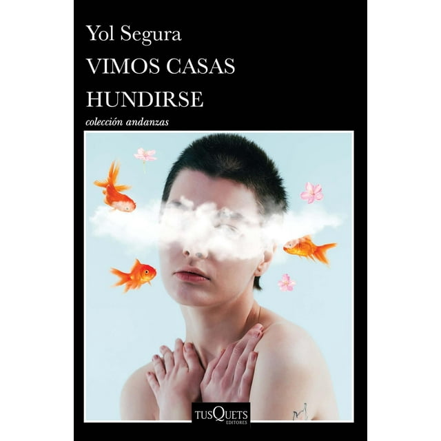 Vimos casas hundirse