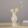 thumbnail image 4 of GROWTH TANK Nordic Simple Ceramic Vase Bud Pot Tabletop Hydroponic Plant Holder Flower Vase B, 4 of 9