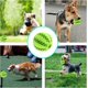 thumbnail image 5 of Pelota de juguete para perros, pelota de goma para masticar para perros de 6 cm, pelota dental, pelota de juguete interactiva, juegos de pelota de juguete resistentes a mordeduras para perros pequeños y medianos Rojo Verde Cocina, Decoración y Otros, 5 of 5