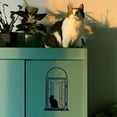 thumbnail image 4 of Window Cat Painting Stencil 8.3x11.7inch Plastic Cat Shape Stencil Moon Stars Stencil Branch Stencil Reusable Animal Theme Template for Painting on Wood Floor Wall Tile Canvas Fabric, 4 of 7