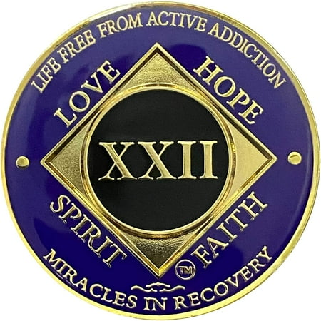 NA 22 Year Medallion, Narcotics Anonymous 22 Year Recovery Coin (Purple