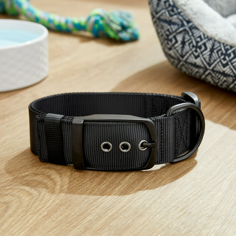 Vibrant Life Solid Polyester Dog Collar with Metal Buckle, Black