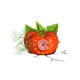 thumbnail image 1 of Pegatinas de pared DIY I yo, 1 of 7