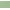Sage, variant on Woman Within Plus Size 7-Day Knit Straight Leg Pant Stretch Elastic Waist Petite & Tall