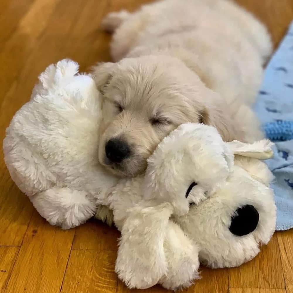 snuggle puppy walmart