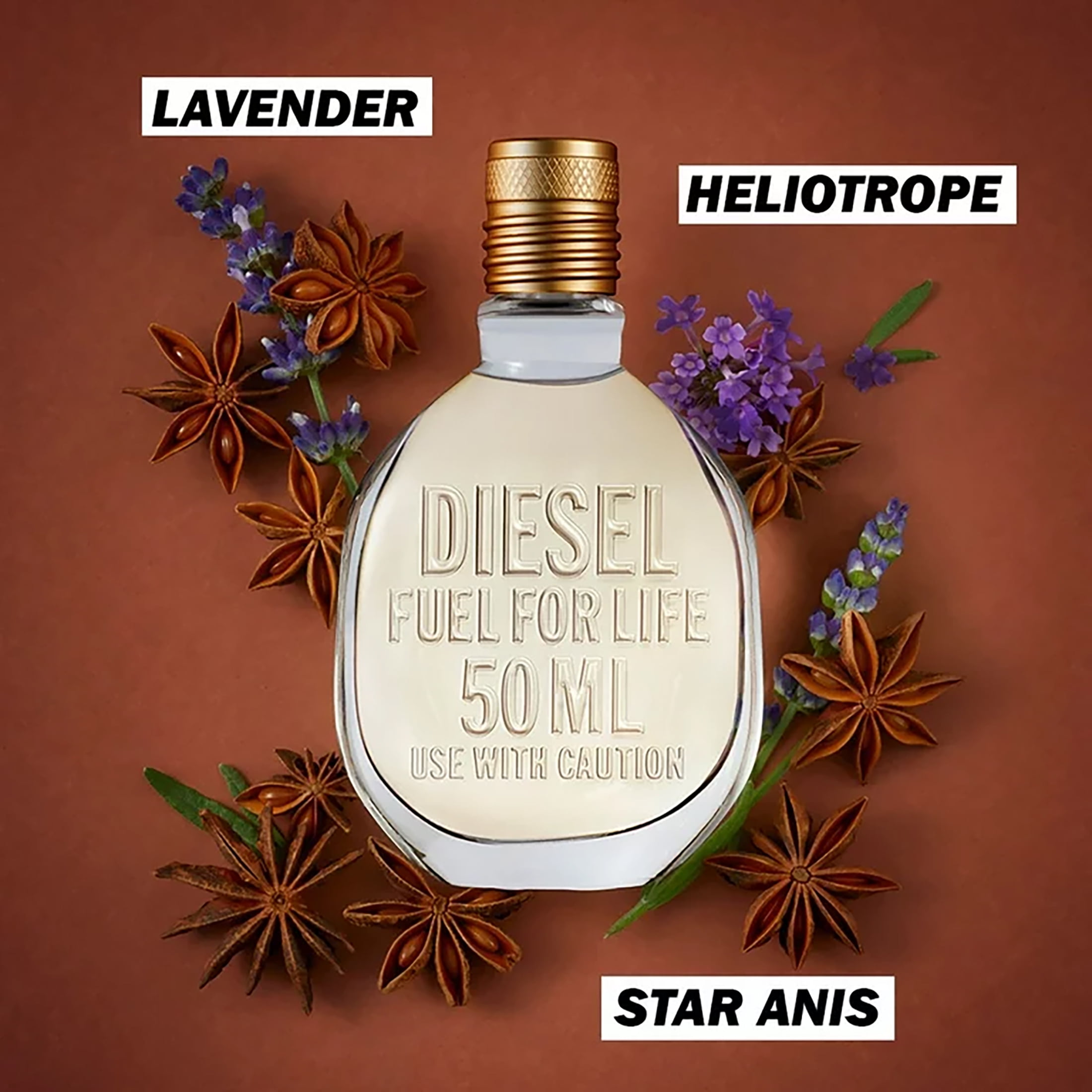 Diesel Fuel for Life Eau de Toilette Spray Cologne for Men 1.7