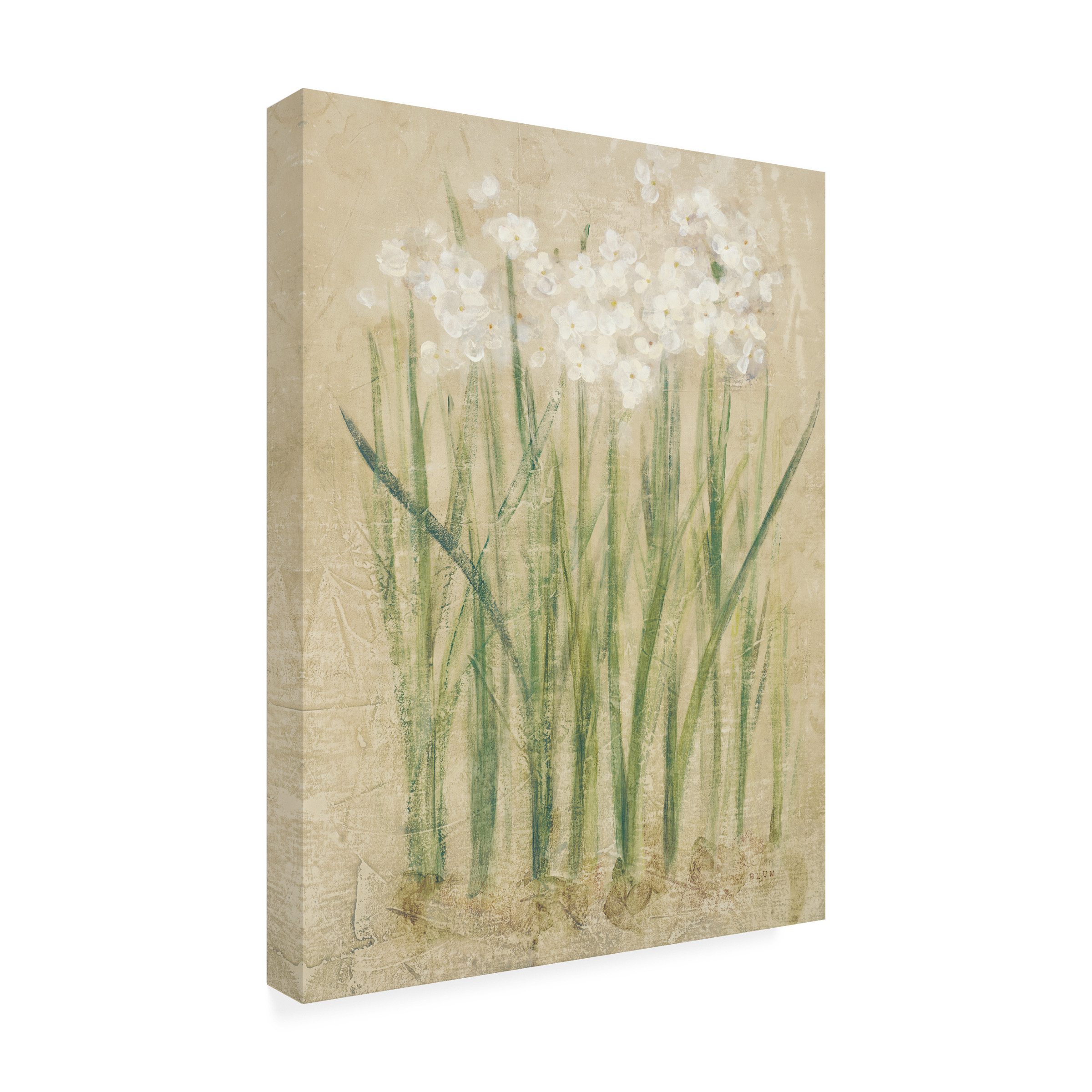 Cheri Blum 'Narcissus Cool' Canvas Art