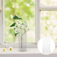 thumbnail image 2 of Cylinder Shaped Transparent Flower Holder Glass Vase Flower Arranging Container, 2 of 9