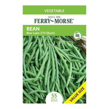 Garden Bean Bush Blue Lake 274 Seed - 1 Packet - Walmart.com