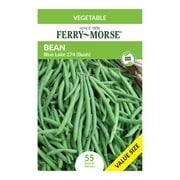 Ferry-Morse Value Pack Bean Blue Lake Bush 274 Vegetable Plant Seeds Packet - Seed Gardening, Full Sunlight