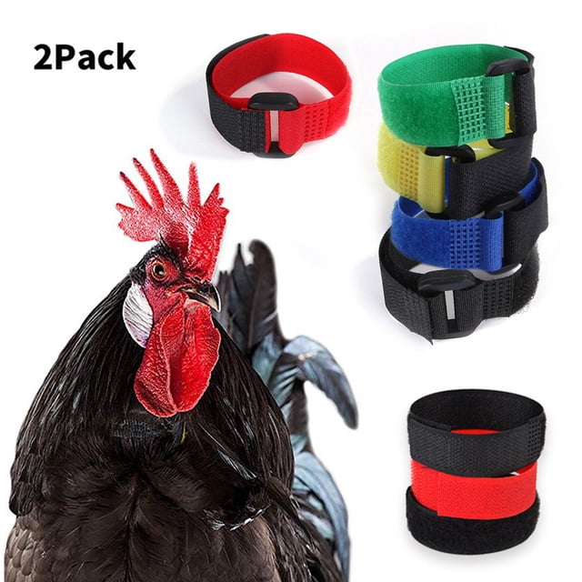 En existencia, suministros para mascotas, paquete de 2, collar anti-gancho, sin nudos de gancho, correa para el cuello con ruido, suministros para collar