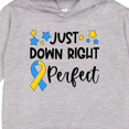 thumbnail image 3 of Inktastic Just Down Right Perfect Down Syndrome Awareness Ribbon Toddler Hoodie, 3 of 4