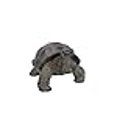 thumbnail image 3 of Tortue TG, 3 of 4