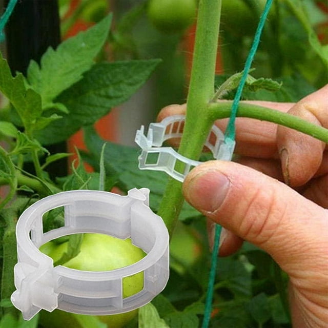 100 clips de soporte de plantas de plástico blanco para ayudar al crecimiento vertical de las plantas de vid.