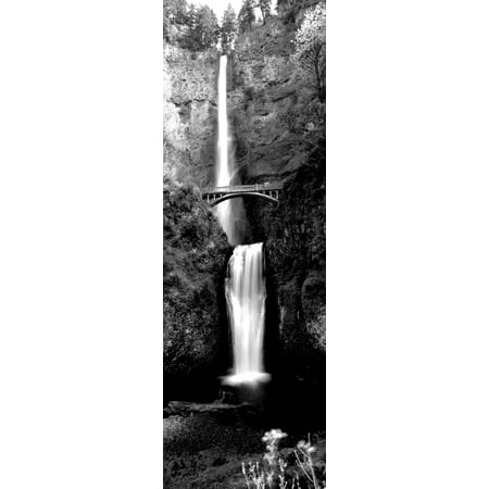 Multnomah Falls Columbia River Waterfall in a forest Multnomah Falls Columbia River Gorge Oregon USA Canvas Art - Panoramic Images (6 x 18) ()