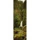 Cascade dans une Forêt Columbia Rivière Gorge Oregon USA Affiche Imprimée par - 12 x 36 – image 1 sur 1