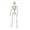 3 Ft, variant on Red Light Eye Poseable Skeleton Statue, Halloween Skeleton, Full Body Life Size Posable Skeletons With Movable Joints, Realistic Plastic Human Bones Anatomy Model for Halloween Decorations, 3 Ft