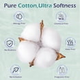 thumbnail image 3 of Toalla facial desechable PureSofdness de 30 x 25 cm, suave, 320 unidades, 3 of 7
