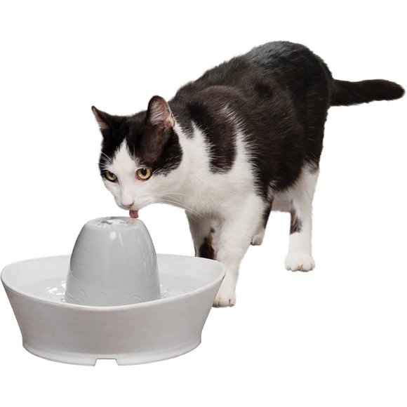 Ceramic Pet Drinking Fountains Creekside or Seascape Cat and Dog Fresh Flowing Water Dispensers oz Capacity Durable Hygienic Ceramic Material Easy to Clean Design Filters Included