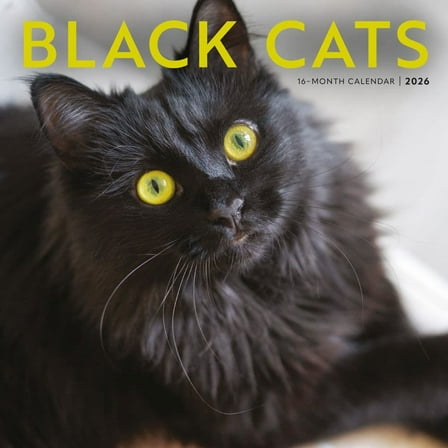 Carousel Calendars, Black Cats 2026 Wall Calendar