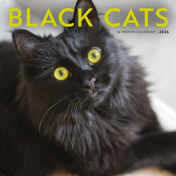 Carousel Calendars, Black Cats 2026 Wall Calendar