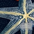 thumbnail image 3 of Starfish Breathable Chiffon Yarn Silk Head Scarf 180*73 - Lightweight Translucent Wrap, 3 of 6
