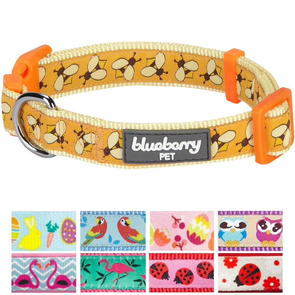 designer small dog collars