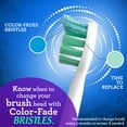 thumbnail image 6 of Equate Advanced Clean Electric Toothbrush Replacement Heads, White, 4 Count, 6 of 13