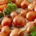 thumbnail image 1 of Onions - Multiplier Lorient (12 Bulbs), 1 of 2