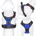 thumbnail image 2 of Chaleco reflectante PHOEPET con clip frontal y asa para perros, talla XL, 2 of 6