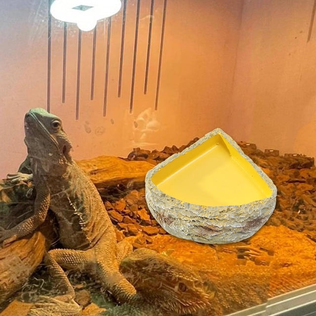 Tazón de agua de reptiles, alimentador de reptiles, decoración del hábitat del terrario, plato de comida decorativa de alimentación de tazón para S