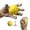 Yellow -20LB, variant on ABCISI Hand Exercise Ball, Squeeze Ball for Hand Therapy, Finger Extension Exerciser, Finger and Wrist Strengthener, Hand Grip Strengthener for Elderly,Weak Hand,Arthritis,Stroke,Carpal Tunnel, 20LB