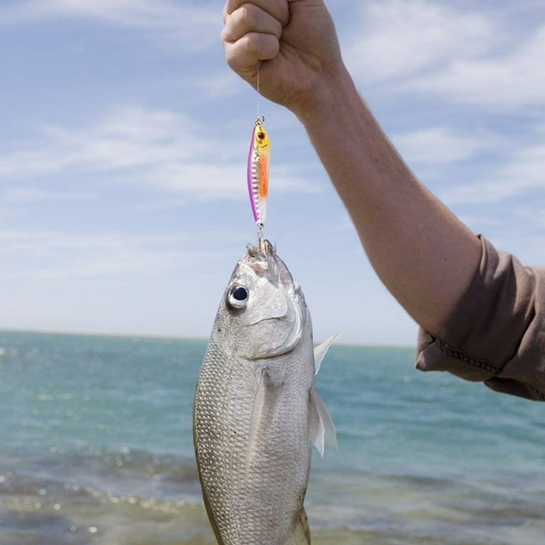 Fishing Advent Calendar 2023,fishing Lures Set, 24 Days Fish Bait