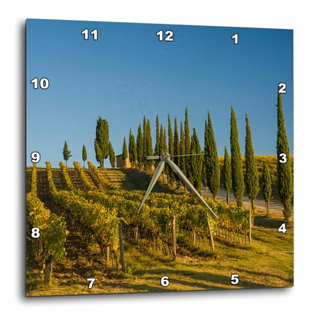 3drose, Italy, Tuscany. Vineyard and Tuscan Trees on a Hillside in Tuscany., 10x10 Wall Clock