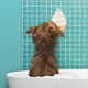 thumbnail image 2 of Alfombrilla para lamer perros Genuine Fred Slow Feeder helado antideslizante, 2 of 5