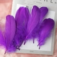 thumbnail image 3 of Office Supplies,50 Pcs Colourful Plumage For Wedding Party Flower Arrangement Home Decoration Diy Middle Floating Plume For Hair Cat Stick Clothing Craft Decoration Plumage, 3 of 4